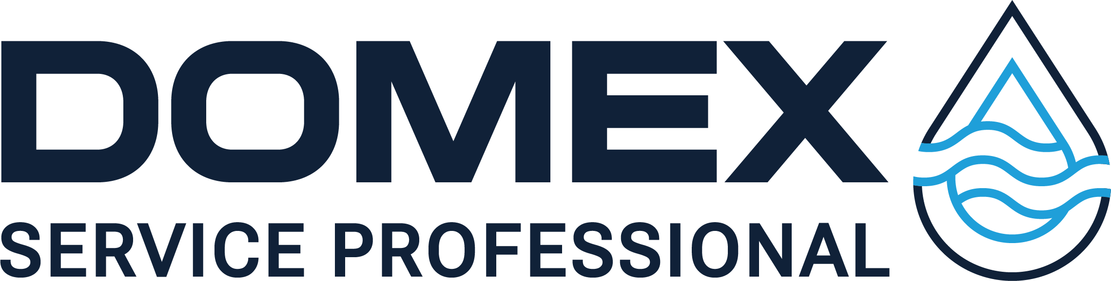 DOMEX Service Professional